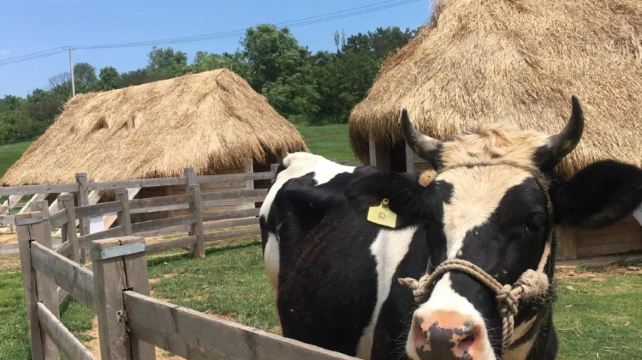 7-Day China Dalian Highlights Private Tour·Dalian Coastal National Geopark, Ten Miles Gold Coast, Lotus Hill Viewing Tower and Donggang Yacht Marina 