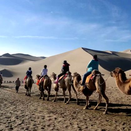 敦煌+青海湖景区+茶卡盐湖+张掖8日7晚拼小团