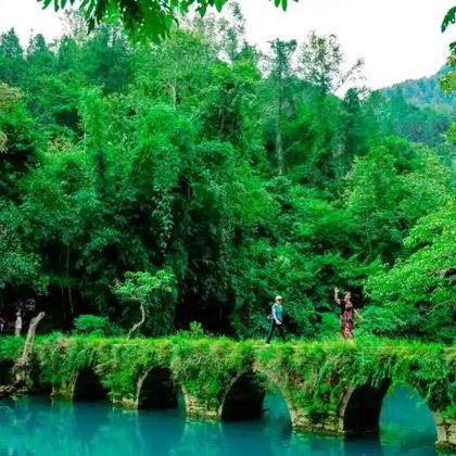 贵州贵阳+安顺黄果树景区+织金洞2日1晚跟团游