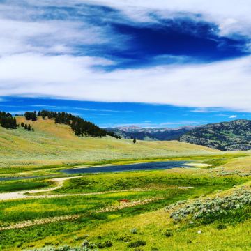 美国洛杉矶+拉斯维加斯+旧金山+黄石国家公园13日12晚跟团游