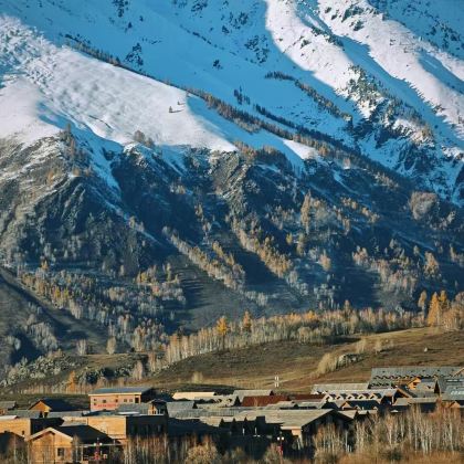 阿勒泰地区+禾木风景区+喀纳斯4日3晚私家团