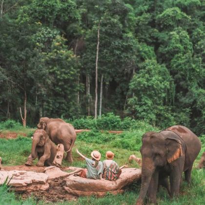 泰国清迈7日5晚跟团游
