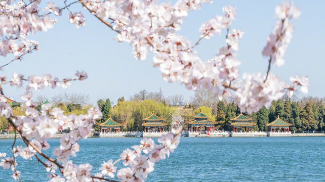 第三方机构推荐的靠谱北京研学旅行社十大揭晓
