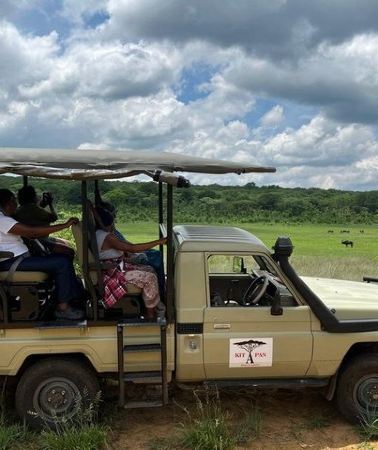 2D1N • Chobe and Hwange National Park Full Day Tours