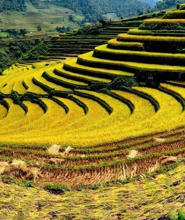 2D1N • Hanoi- 2 Days Sapa moutain trekking with Local Guide and Homestay