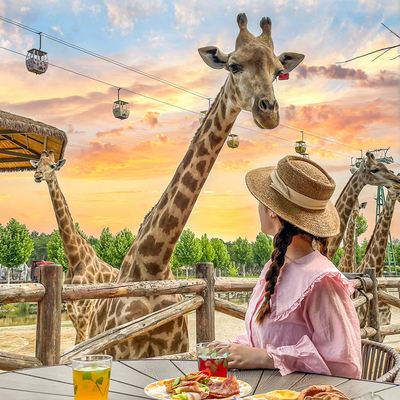 肯尼亚10日8晚拼小团