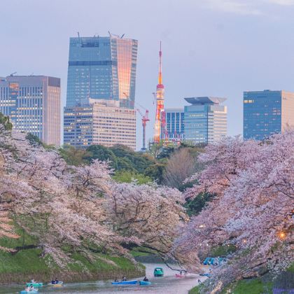 日本东京+大阪+京都+奈良9日8晚私家团