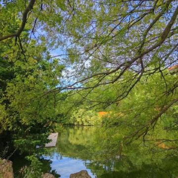 温州雁荡山+洞头岛3日2晚私家团