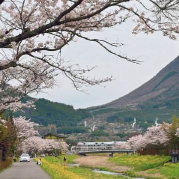 日本九州+福冈+熊本+大分6日5晚私家团