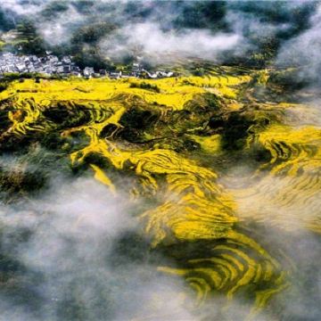 江西南昌+婺源+上饶+景德镇+庐山风景名胜区5日4晚跟团游