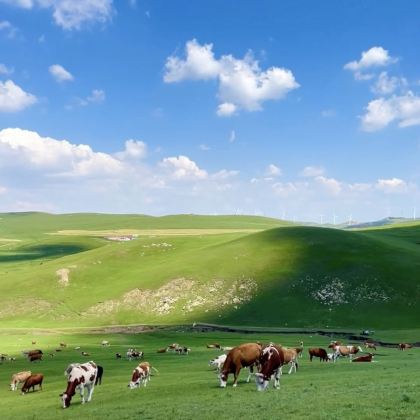 内蒙古乌兰察布+辉腾锡勒草原+红石崖国家生态公园2日1晚私家团