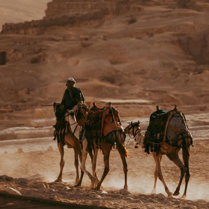 埃及+土耳其9日7晚私家团