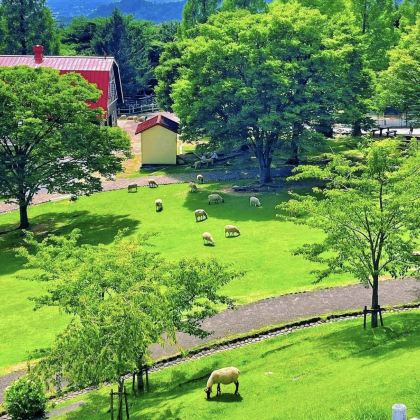 大阪+京都+奈良+宇治市5日4晚拼小团