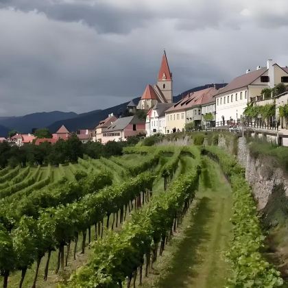 法国+瑞士11日9晚拼小团