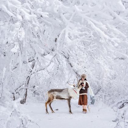 沈阳+长白山+延吉5日4晚私家团