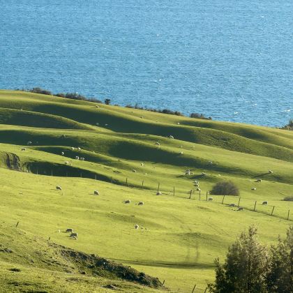 新西兰8日跟团游