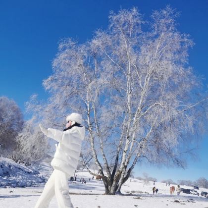 赤峰+乌兰布统鄂温克驯鹿部落4日3晚跟团游