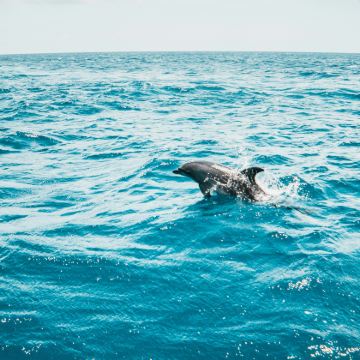 韩国济州岛4日3晚自由行