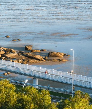 5日•廈門+鼓浪嶼+福建土樓(南靖)景區