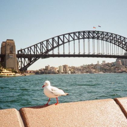 澳大利亚10日9晚私家团