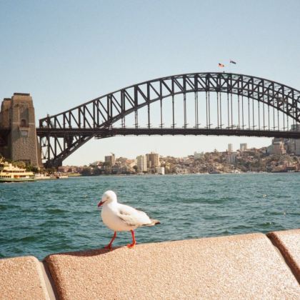 澳大利亚10日9晚私家团