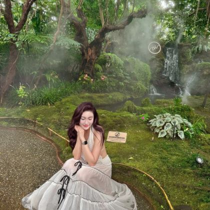 泰国清迈7日5晚跟团游