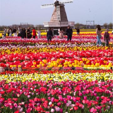 德国+荷兰8日7晚自由行