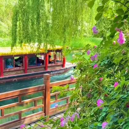 济南+泰安+曲阜+淄博+青岛4日3晚私家团