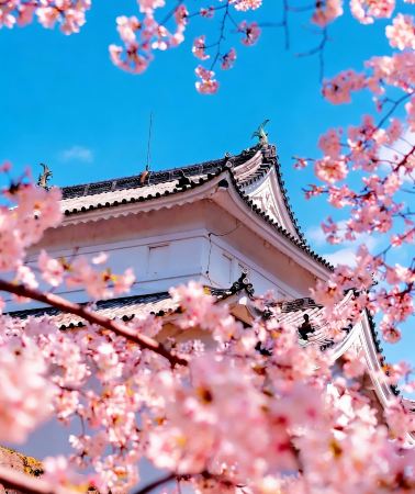 5日4晚 • 日本名古屋+飛彈高地+金澤+下呂市