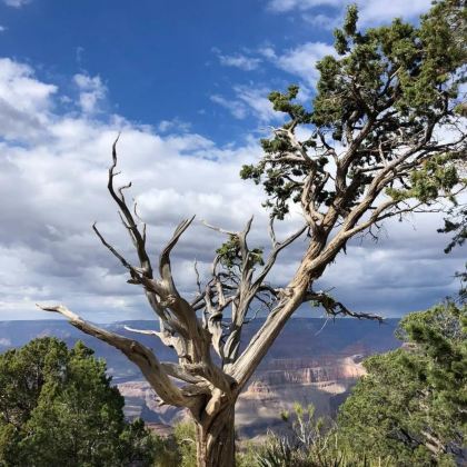 美国丹佛2日私家团