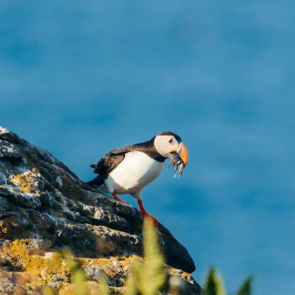 哥本哈根+托尔斯港+米基内斯霍尔姆灯塔+杰格夫6日5晚拼小团