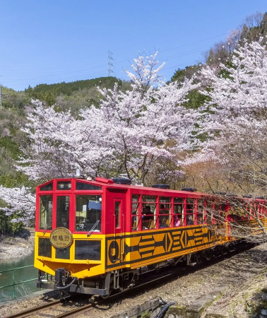 3D2N • Japan + Kyoto + Lake Biwa + Nara City