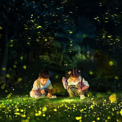 云南西双版纳+普洱5日4晚私家团