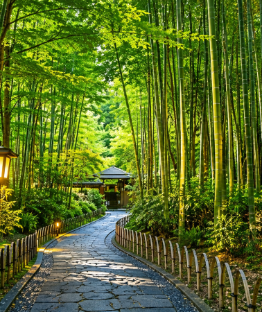 8D6N • Kansai seasonal journey with Osaka, Kyoto and Kobe highlights featuring Arashiyama Bamboo Forest, Harborland and Universal Studios Japan