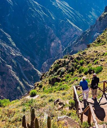 2D1N • 2 Days and 1 Night Tour from Puno to Colca Canyon and Arequipa