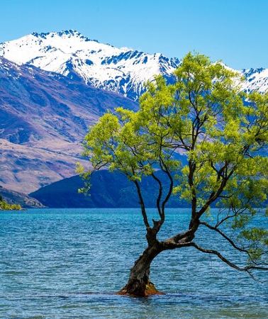3D2N • Private 3 Day Queenstown Glenorchy Wanaka and Tekapo