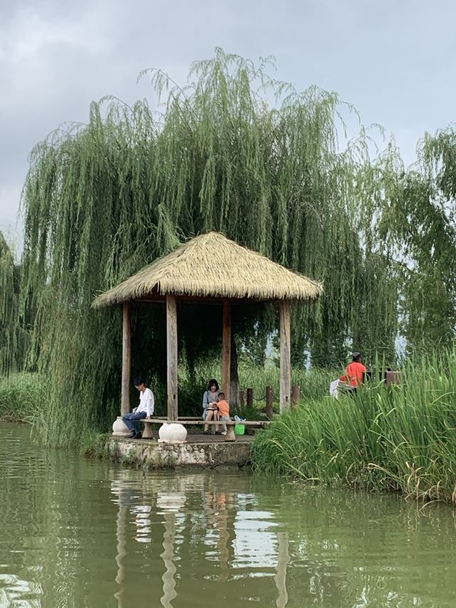 麒麟水乡旅行图片 1