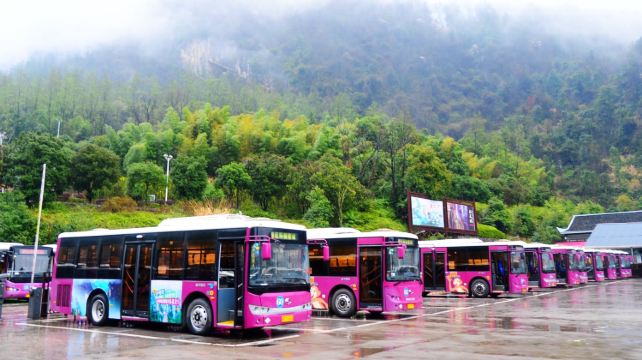 5-Day Epic China Zhangjiajie Adventure Private Tour·Zhangjiajie National Forest Park, Bailong Elevator, Tianmen Mountain and Phoenix Ancient Town