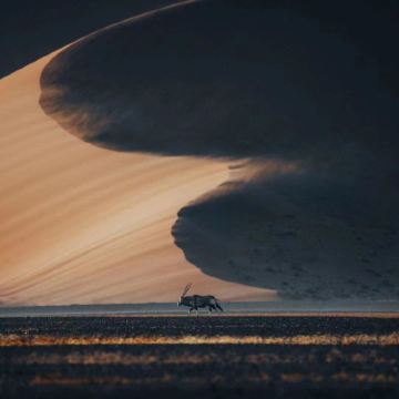 纳米比亚9日8晚跟团游