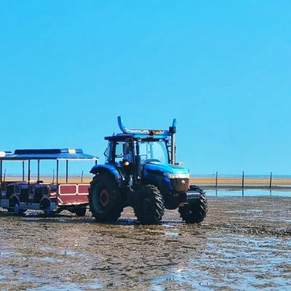 山东青岛+日照+崂山风景区+海合安青岛极地海洋公园5日4晚跟团游