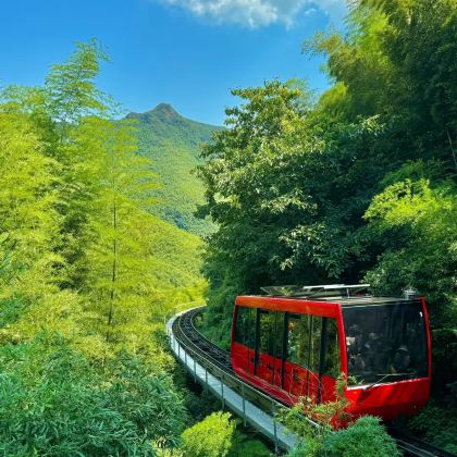 常州+南山竹海+中华恐龙园3日2晚私家团