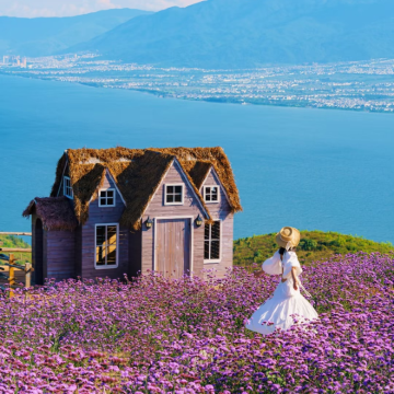 大理市+无量山+巍山古城+沙溪古镇6日5晚自由行