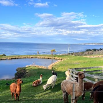 澳大利亚布里斯班+黄金海岸3日2晚私家团