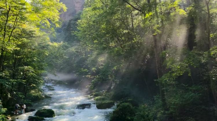 4-Day Scenic Zhangjiajie Group Tour·National Forest Peaks & Tianmen Skywalk