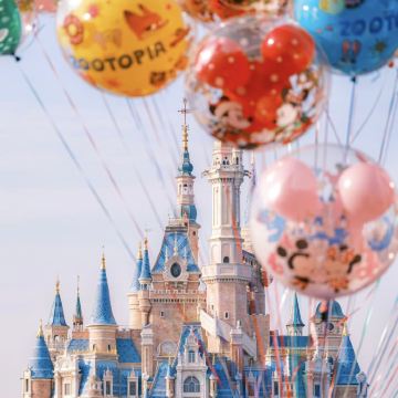 上海+上海迪士尼度假区4日3晚私家团