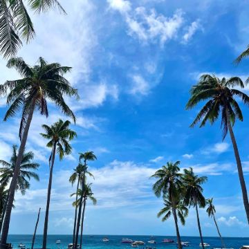 泰国普吉岛4日3晚跟团游