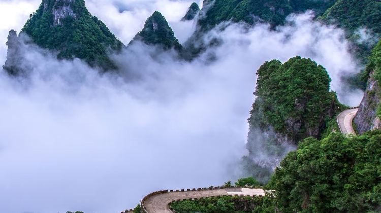 4D3N · Private Tours · Twin Forest Parks & Grand Canyon Karst Scenery Zhangjiajie + Zhangjiajie Grand Canyon + Tianmen Mountain National Forest Park + Zhangjiajie National Forest Park