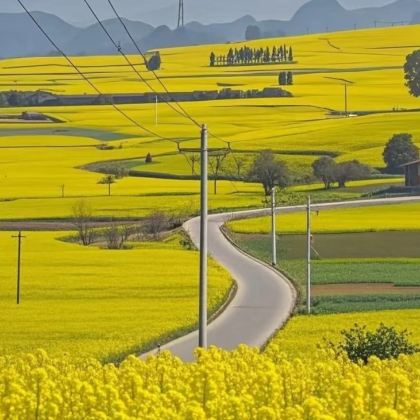 云南昆明+罗平+弥勒+蒙自+元阳+河口+建水+抚仙湖8日7晚私家团