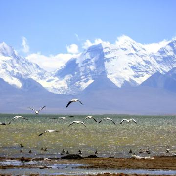 日喀则+亚东+江孜4日3晚私家团