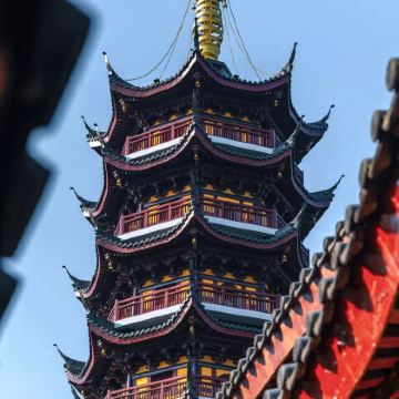 上海+苏州+无锡+扬州+南京10日9晚私家团